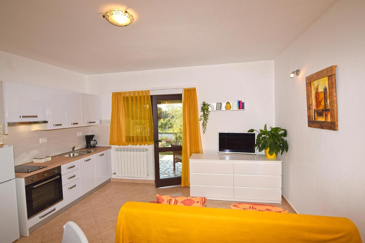 מדולין Apartments Bor מראה חיצוני תמונה