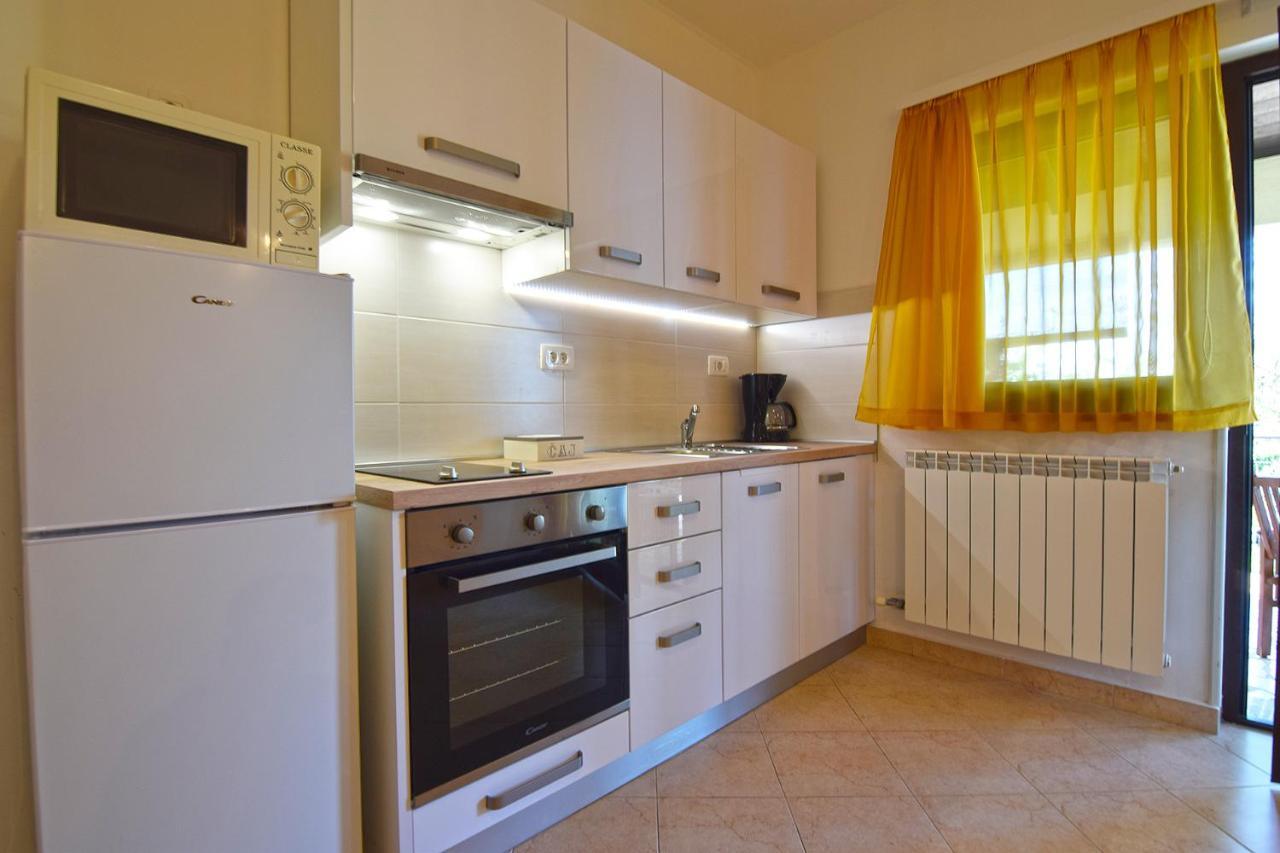 מדולין Apartments Bor מראה חיצוני תמונה