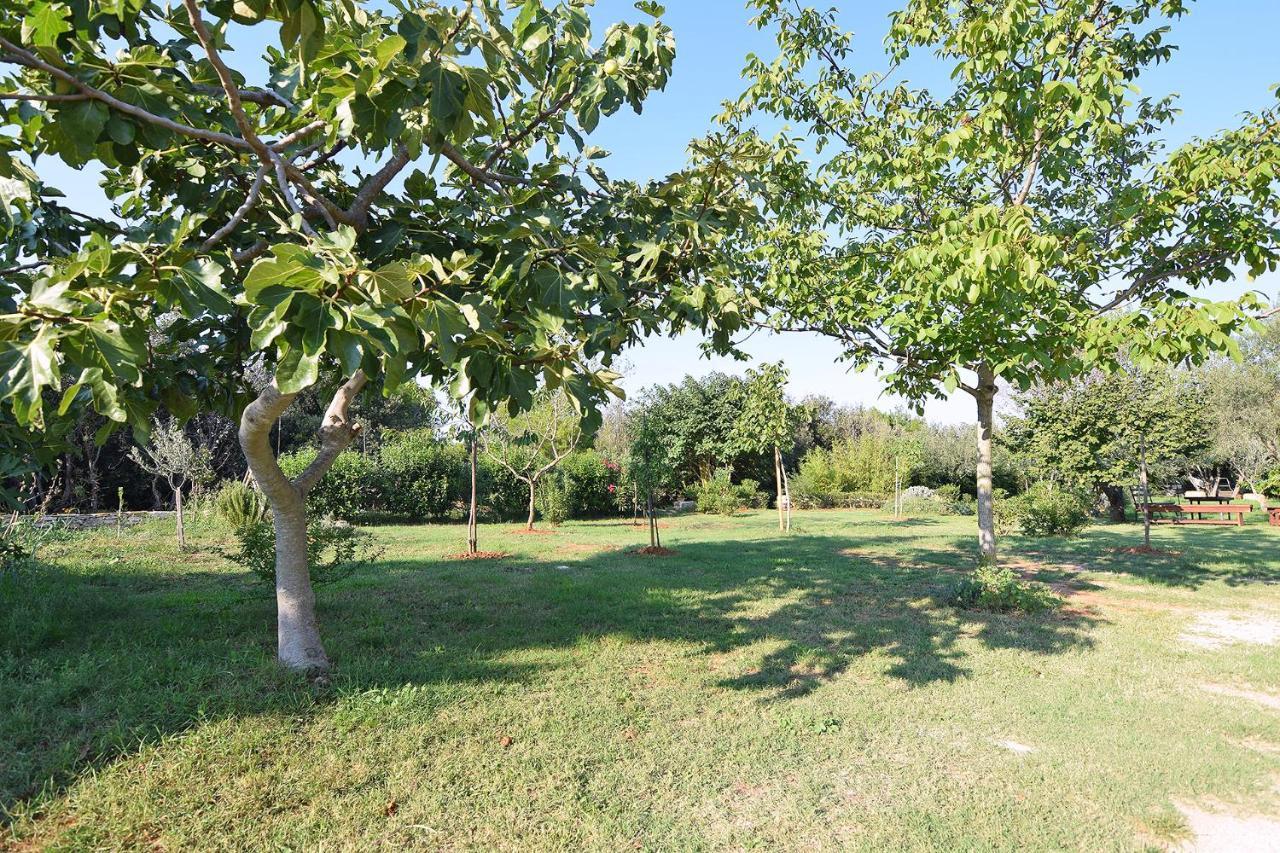 מדולין Apartments Bor מראה חיצוני תמונה
